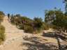 Thumbnail Image #10 of 25