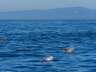 Thumbnail Image #10 of 67