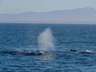Thumbnail Image #20 of 67