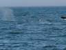 Thumbnail Image #29 of 67