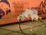 Thumbnail Image #93 of 98