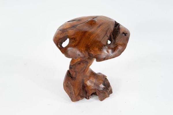 Teak Mushroom