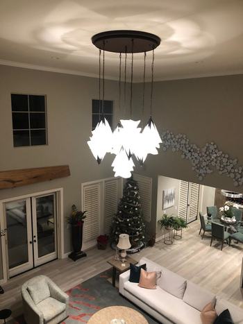 Luxor Natural Light Up & Light Down - Custom Design & Canopy