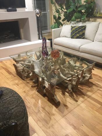 Teak Root Coffee Table