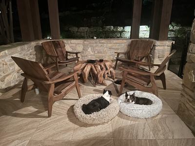 Image #175 - Teak Lounge Chairs w/ Teak Root Spider Table