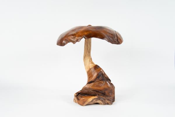Image #1 about Teak Mushroom - Detail View