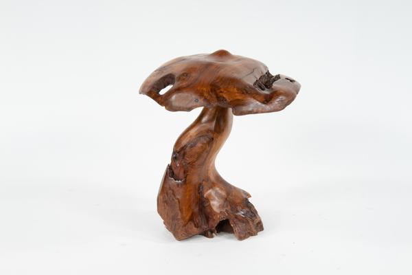 Image #1 about Teak Mushroom