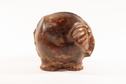 Image #1 about Elephant - Ox
