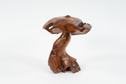 Image #1 about Teak Mushroom