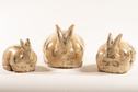 Image #3 about Rabbit - Antique White (Medium)