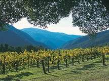 Image about Carmel Valley