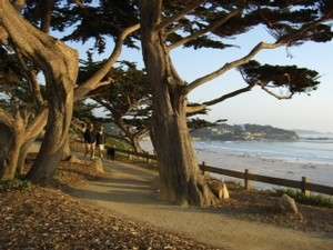 Carmel-by-the-Sea Unveils Newly Enhanced Website, Celebrates With ‘Like-and-Win' Facebook Promotion