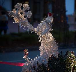 A Holiday Weekend in Carmel-by-the-Sea