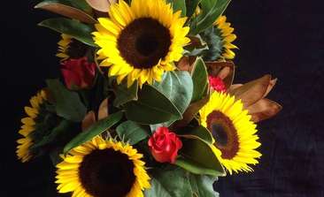 Image about Sunflowers