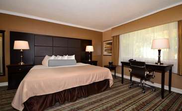Image about King Room