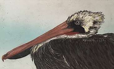 Image about Year of the Pelican