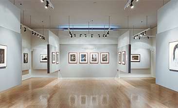 Image about Beautiful exhibits