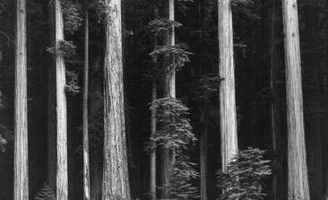 Image about Ansel Adams Original Photographs