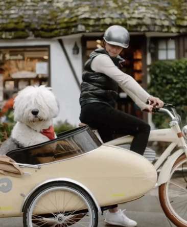 Image about Maddogs sidecar