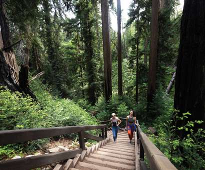 Image of Pfeiffer Big Sur State Park