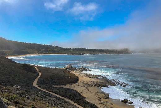 Image about Carmel-by-the-Sea Trails That Will Take Your Breath Away (One Way or The Other)