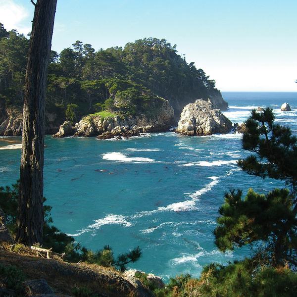 Hike the Coast