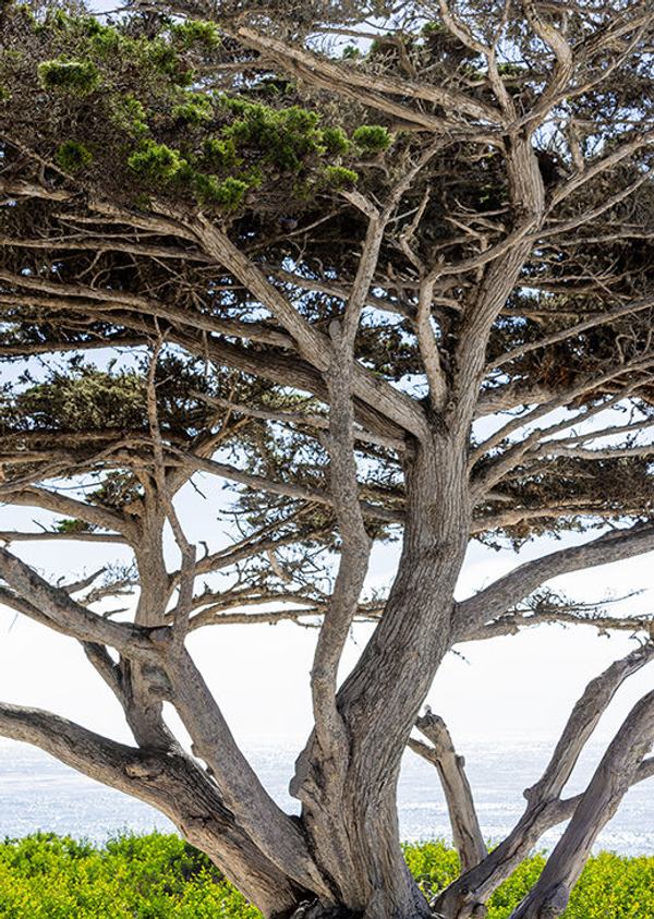 Image about Carmel-by-the-Sea, California #58-1