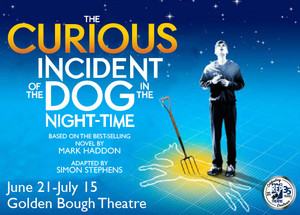 The Curious Incident of the Dog in the Night-Time