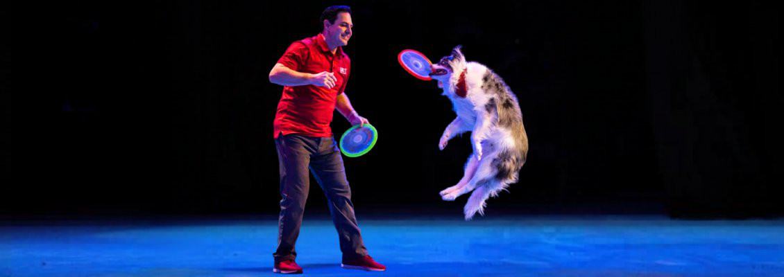 The Perondi's Stunt Dog Experience