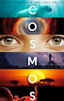 Image of Cosmos - A Spacetime Odyssey