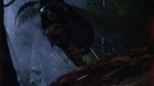 Predator - You and Me