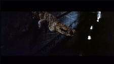 Romancing the Stone - The Castle
