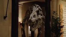 Night at the Museum - Where Is Rexy