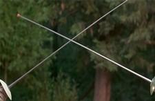 The Parent Trap - Fencing