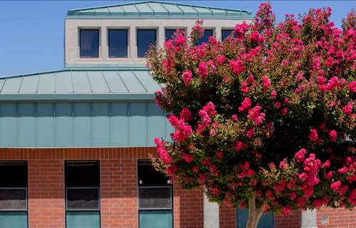 Image about Wicklund Elementary School - Image #7 (Thumbnail)