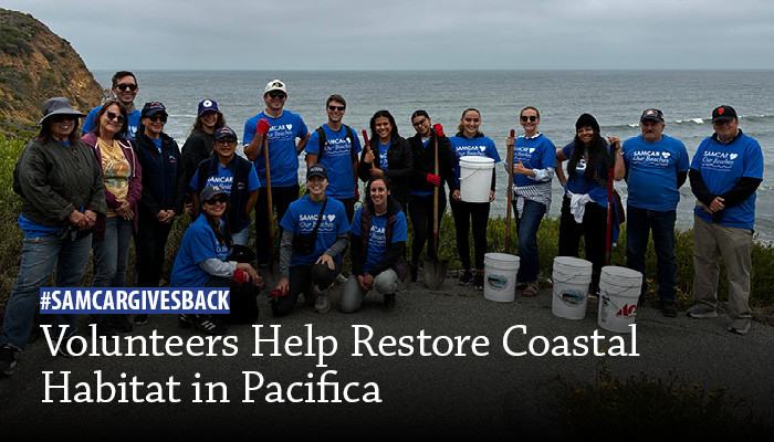 SAMCAR Volunteers Help Restore Coastal Habitat in Pacifica