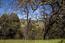 29 Arroyo Sequoia (Image 15)
