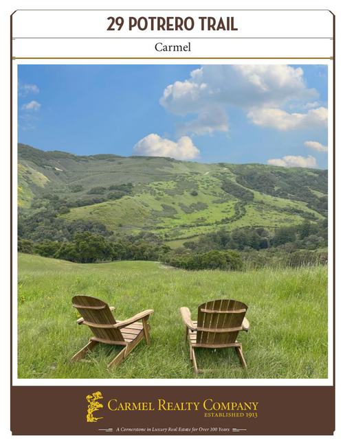 Property Flyer