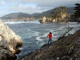 Bluefish Cove at the 554-acre Point Lobos State Reserve.