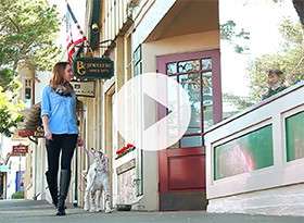Dog-Friendly Carmel
