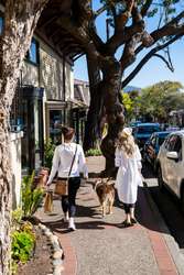 Celebrate National Dog Day in Carmel-by-the-Sea