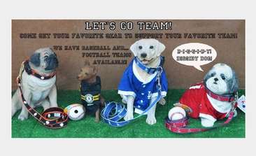 Image about Sports Items are available for baseball and football!