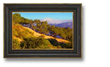 Image about "Treeline"