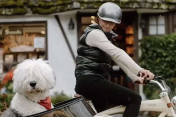 Image about Mad Dogs & Englishmen Bike Shop