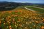 24 Vasquez Trail (Image 22)