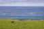 37305 Highway 1 (Image 10)
