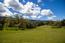 29 Arroyo Sequoia (Image 6)