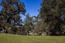 29 Arroyo Sequoia (Image 7)