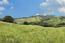 29 Potrero Trail (Image 12)