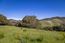 29 Potrero Trail (Image 8)